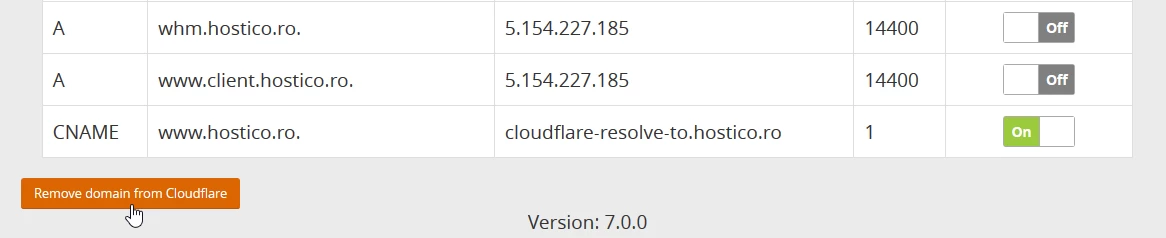 Remove Domain from Cloudflare