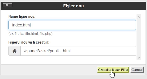 Denumirea fisier nou public_html