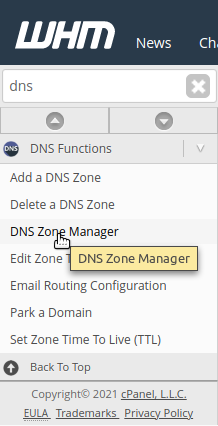 hostico dns zone manager